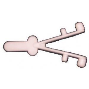 Wishbone